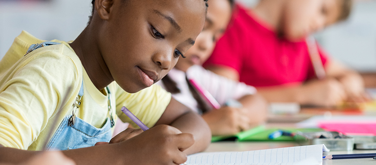 Ensino Fundamental: o que se aprende nessa etapa?