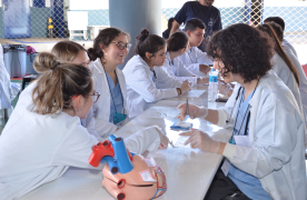 Med Anatomy: o primeiro contato direto com a medicina